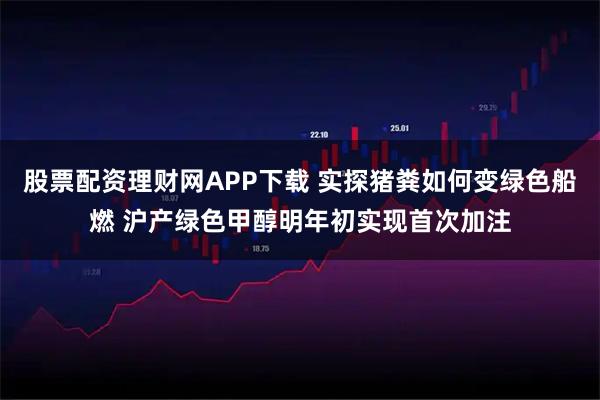 股票配资理财网APP下载 实探猪粪如何变绿色船燃 沪产绿色甲醇明年初实现首次加注