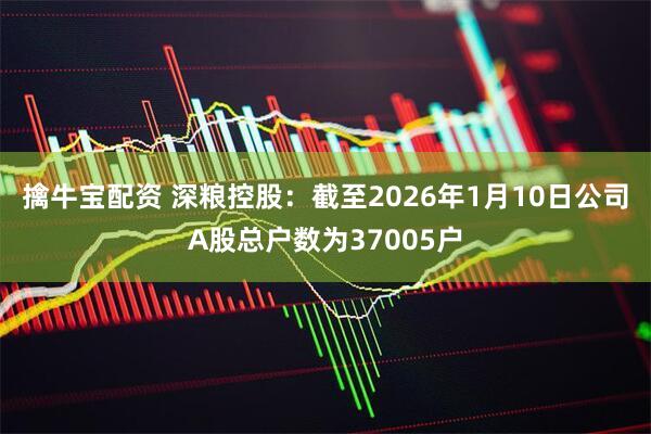 擒牛宝配资 深粮控股：截至2026年1月10日公司A股总户数为37005户